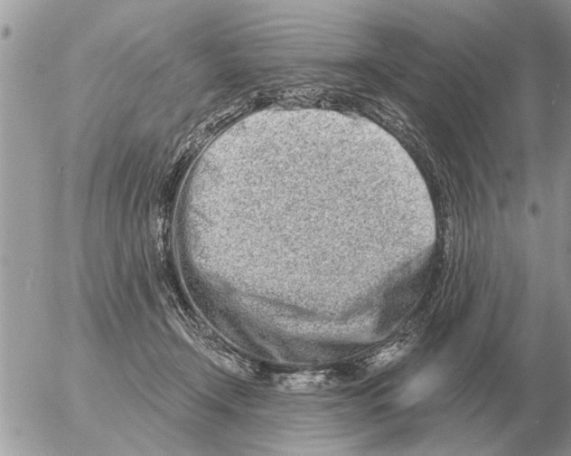 X0000054440366200508270018