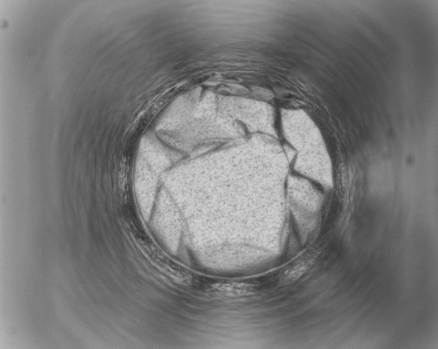 X0000054440367200508270018