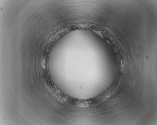 X0000054440368200508270019