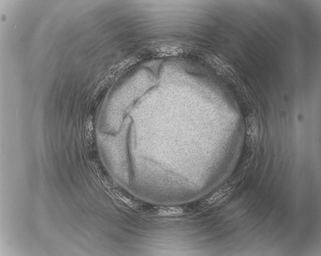 X0000054440369200508270019