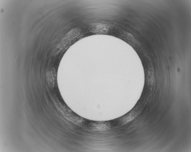 X0000054440370200508270019