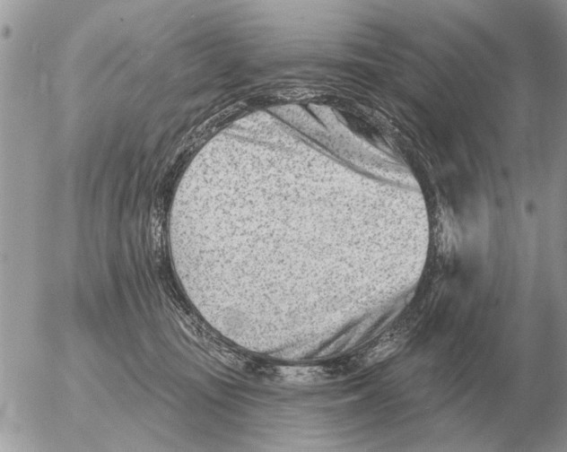 X0000054440371200508270019