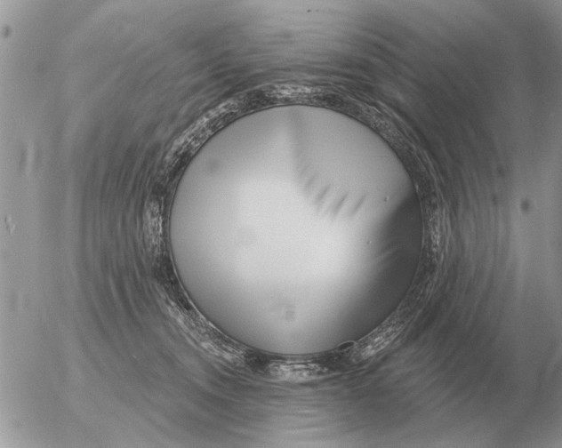 X0000054440372200508270019