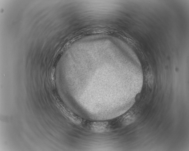 X0000054440373200508270019