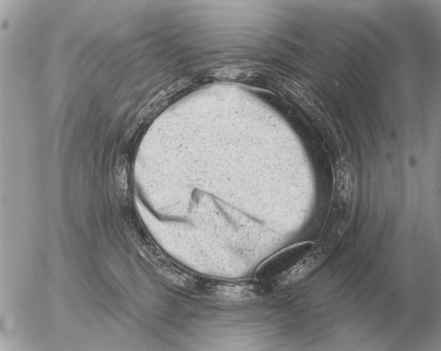 X0000054440375200508270019