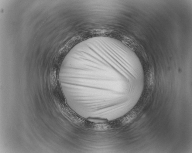 X0000054440376200508270019