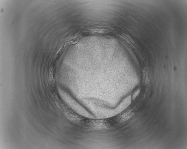 X0000054440377200508270019