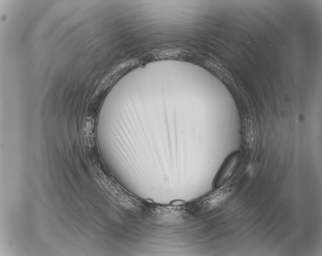 X0000054440378200508270019