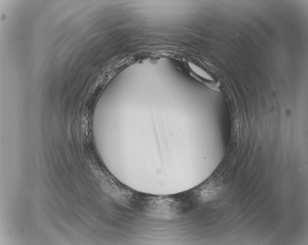 X0000054440379200508270019