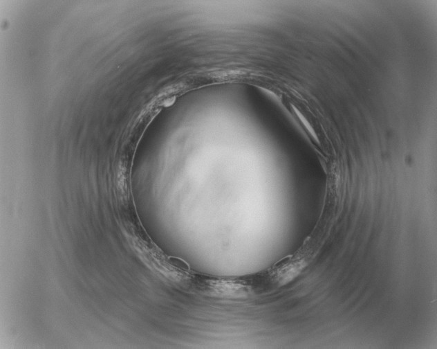 X0000054440380200508270019