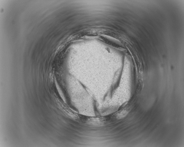 X0000054440381200508270019