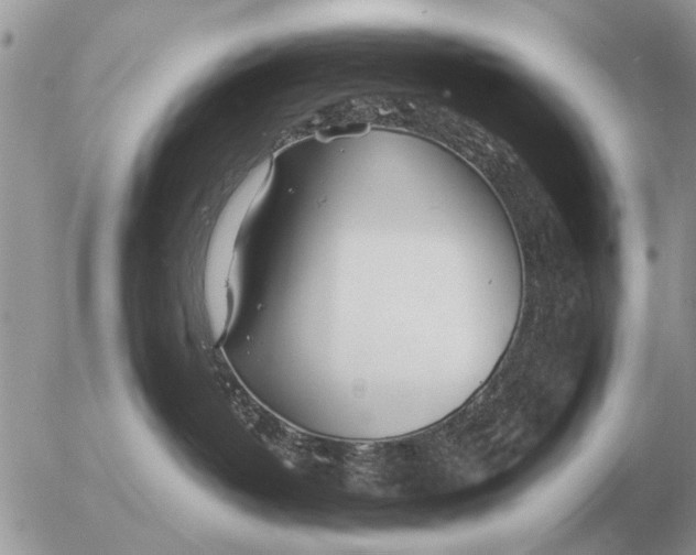 X0000054440382200508270019