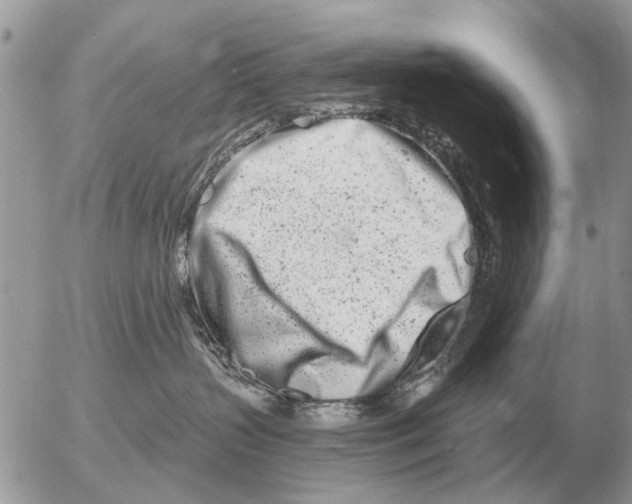 X0000054440383200508270019