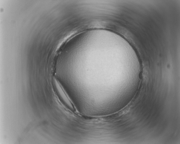 X0000054440386200508270018