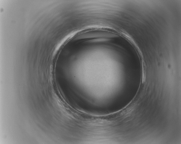 X0000054440387200508270018