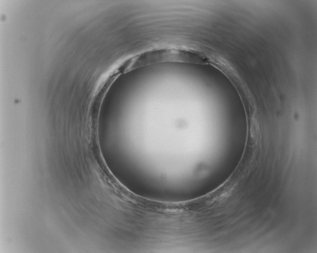 X0000054440388200508270018