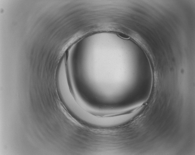 X0000054440389200508270018