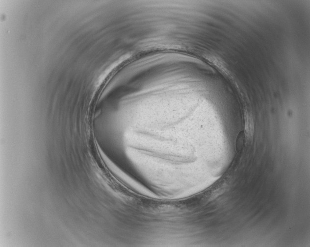 X0000054440390200508270018