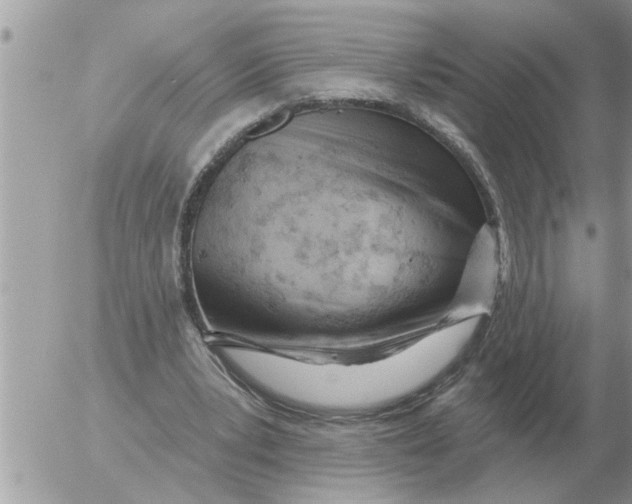 X0000054440391200508270018