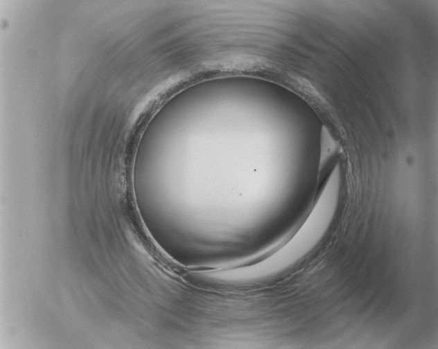 X0000054440392200508270018