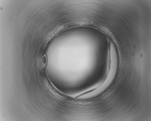 X0000054440393200508270018