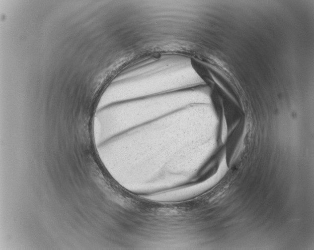 X0000054440394200508270018