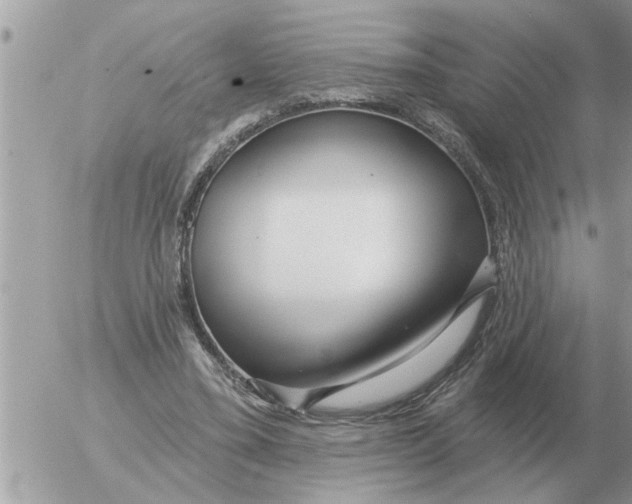 X0000054440395200508270018