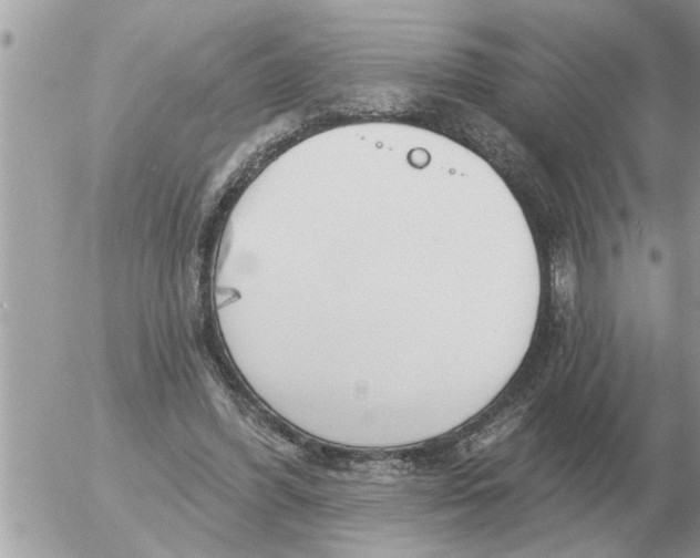 X0000054440396200508270018