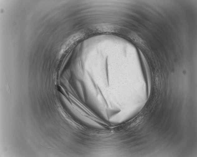 X0000054440398200508270018