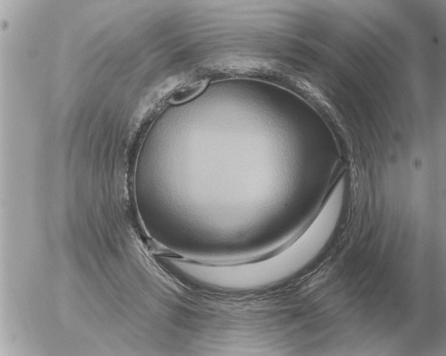 X0000054440399200508270018