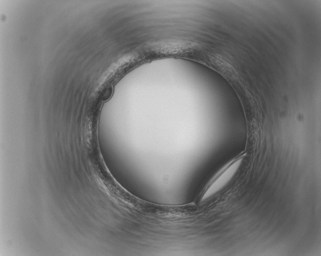 X0000054440400200508270018