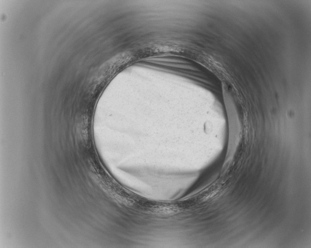 X0000054440402200508270018