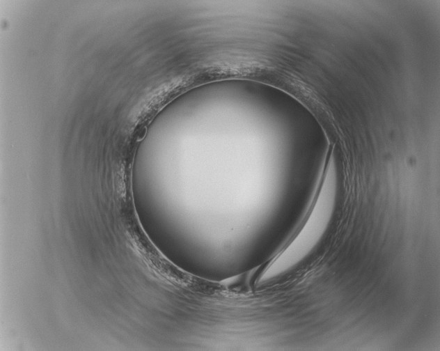 X0000054440403200508270018