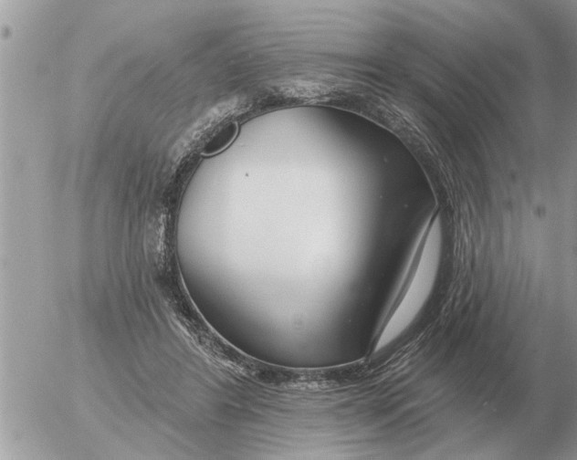 X0000054440404200508270018