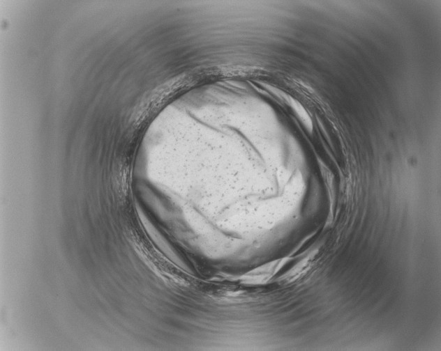 X0000054440405200508270018