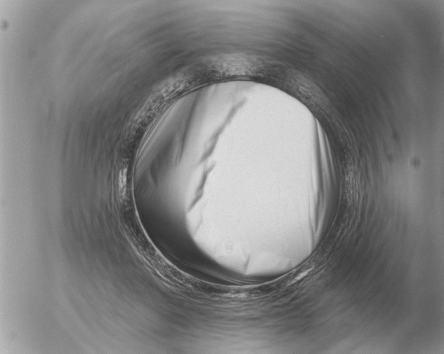 X0000054440406200508270018