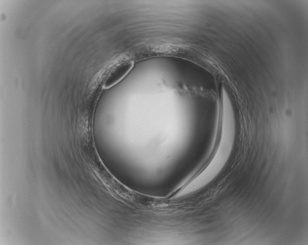 X0000054440407200508270018