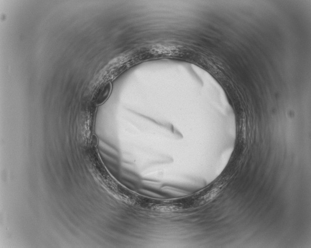 X0000054440408200508270018