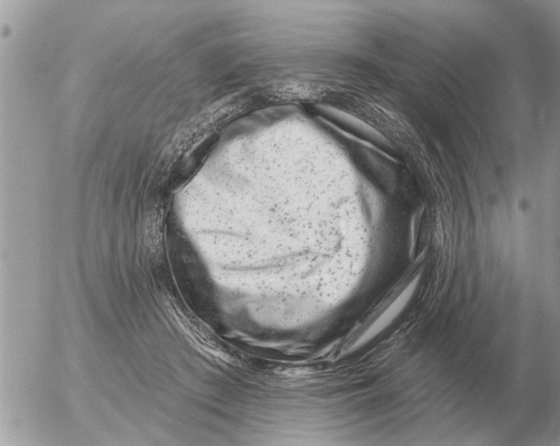 X0000054440409200508270018