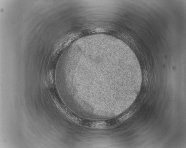 X0000054440410200508270018