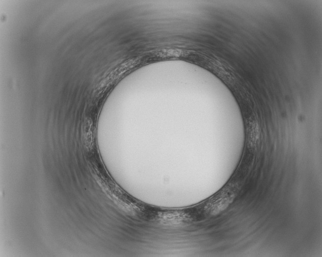 X0000054440414200508270017