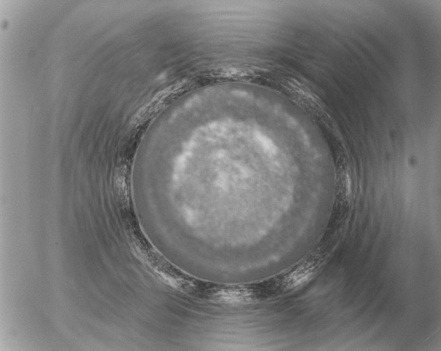 X0000054440415200508270017