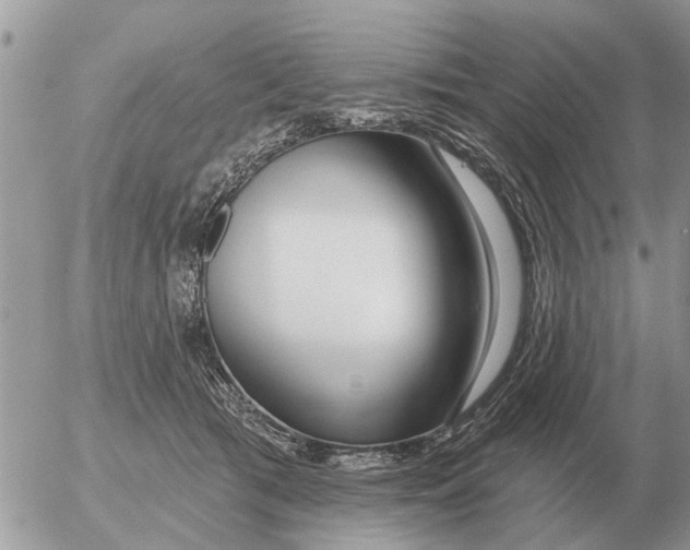 X0000054440417200508270017