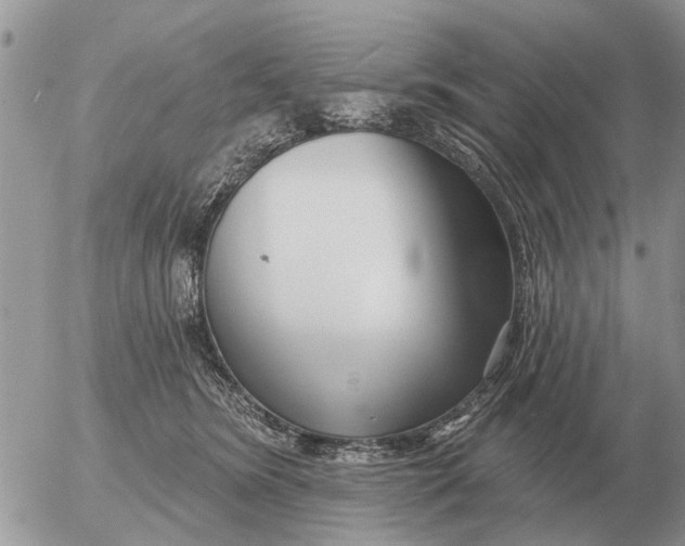 X0000054440420200508270017