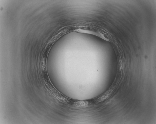 X0000054440421200508270017