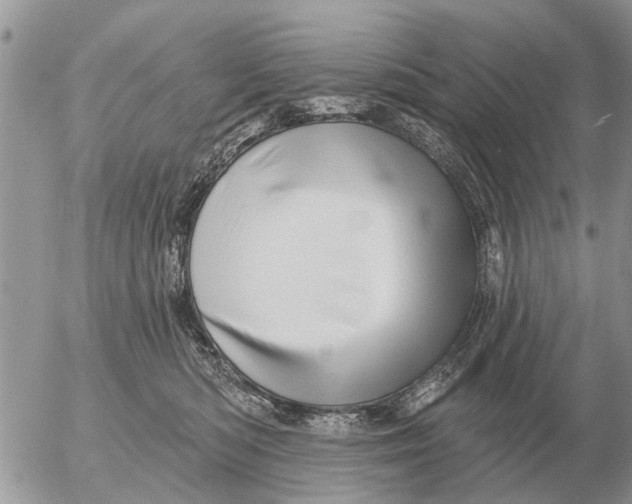 X0000054440422200508270017