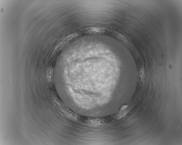 X0000054440423200508270017