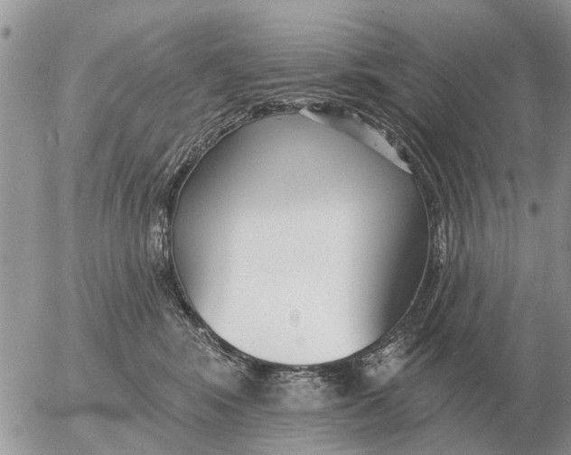 X0000054440424200508270017