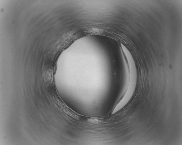 X0000054440425200508270017