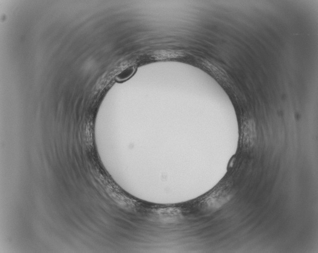 X0000054440426200508270017